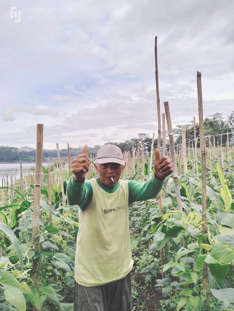 Omar Noor, Petani Sayur